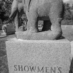 showmens-rest-elephant